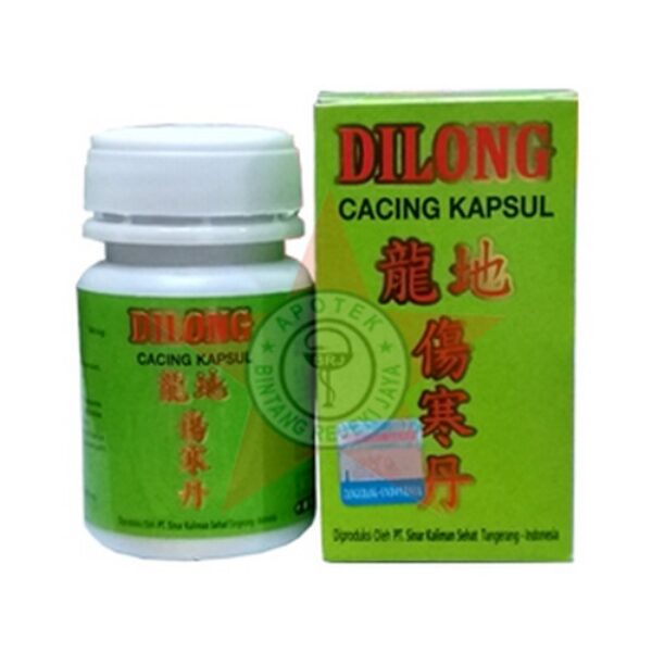 DILONG 60 KAPSUL